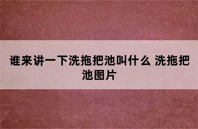 谁来讲一下洗拖把池叫什么 洗拖把池图片